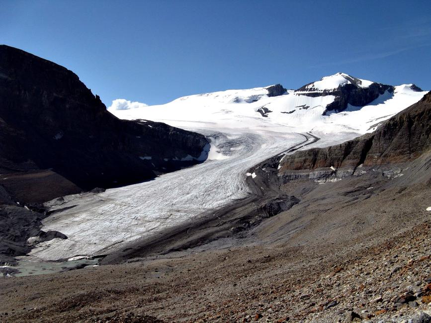Peyto Glacier in August 2008 (taken by Eric Coulthard on 05/08/2008)